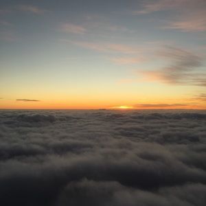 Meet your Posher, Joanne